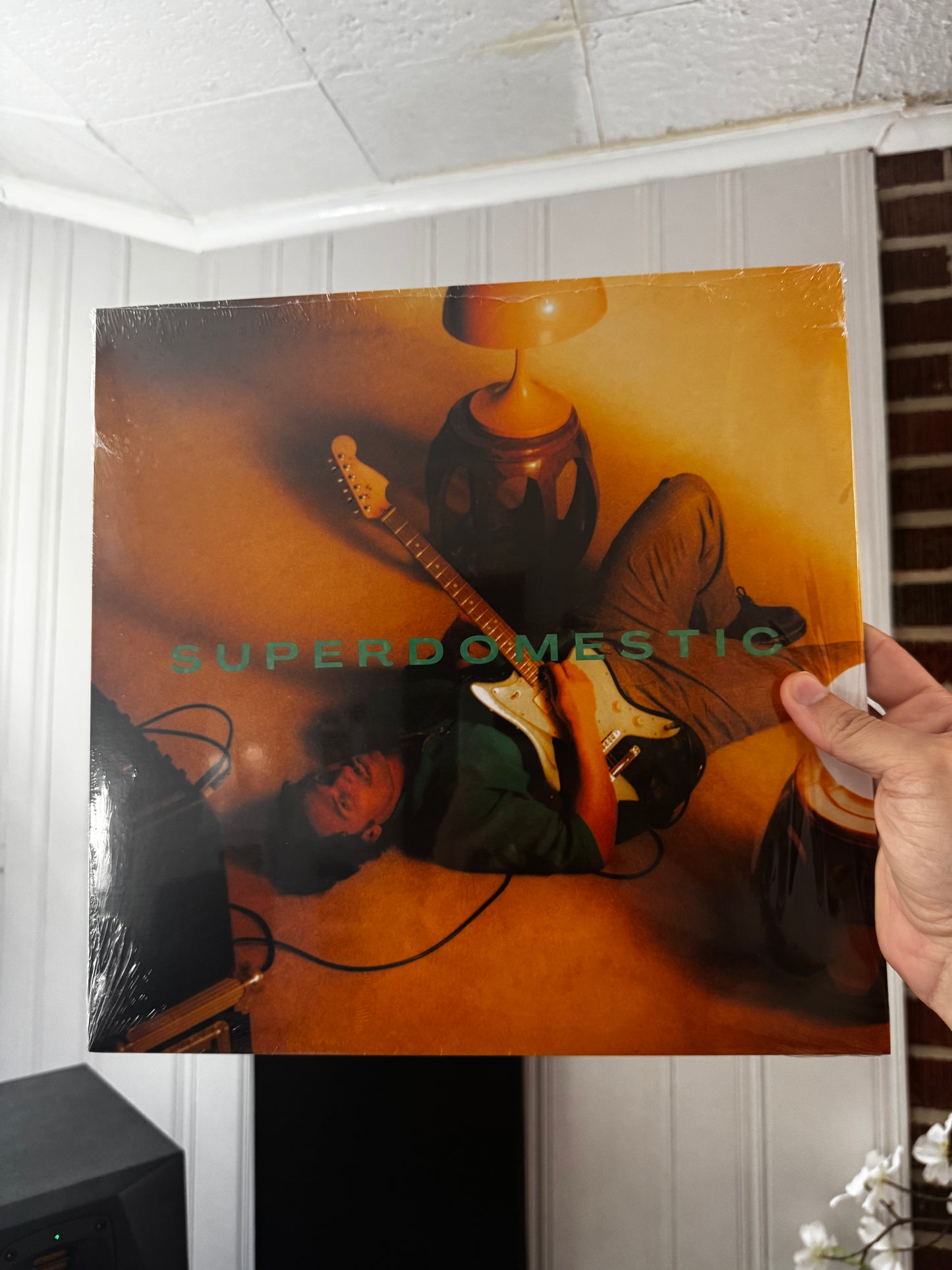 0_ "Superdomestic" 12" Vinyl (*read description*)