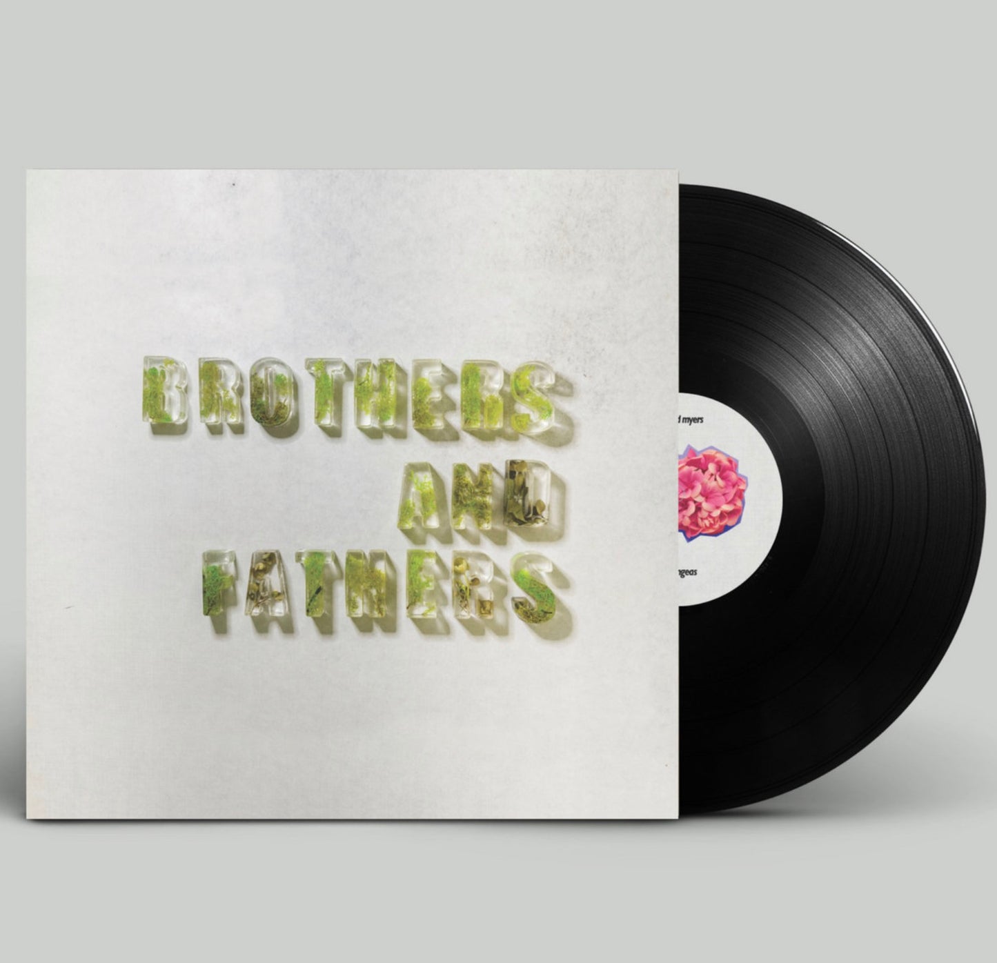 2 HYDRANGEAS AND BROTHERS & FATHERS Vinyl - Double EP